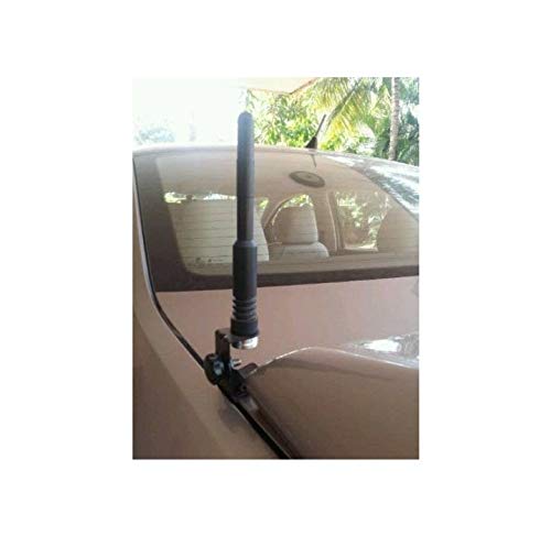 AutoTrends Universal Sporty Car Antenna (Black)