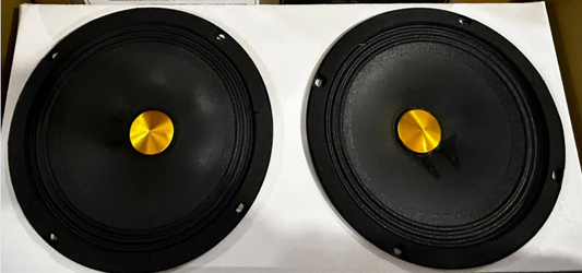 Two black speakers with gold centers on a white background