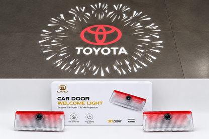 Fortuner Door Shadow Light