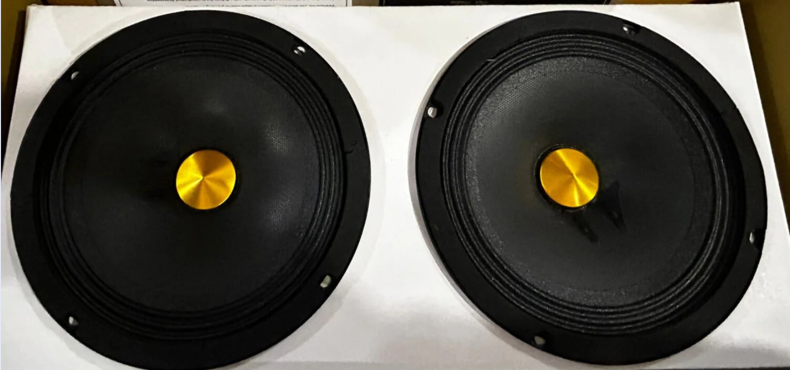 Two black speakers with gold centers on a white background