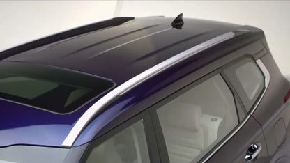 Car roof rack system on a vehicle with a white background